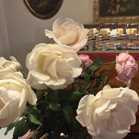 A Casa Di Patty Δωμάτια σε οικογενειακή κατοικία Vidor