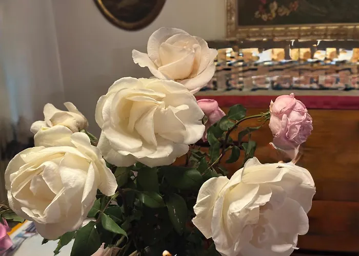 A Casa Di Patty 홈스테이 Vidor